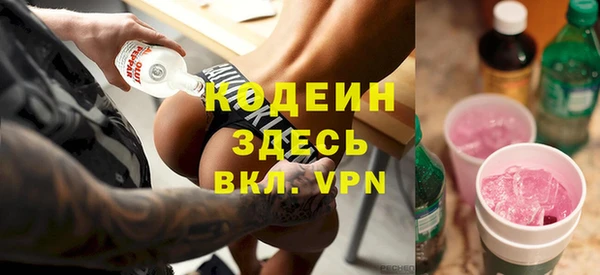 крисы Козельск