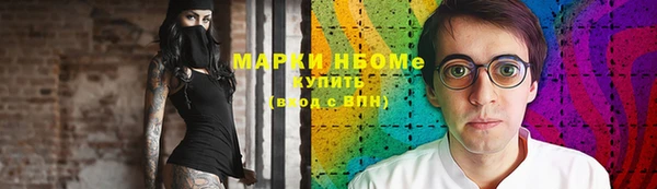крисы Козельск