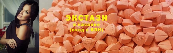 крисы Козельск