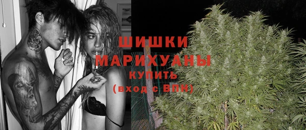 мдпв Козловка