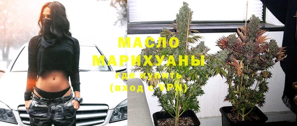крисы Козельск