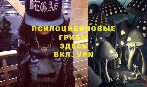 крисы Козельск