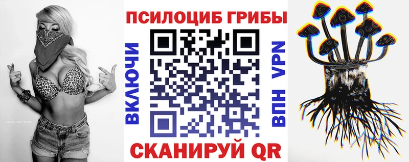 Купить закладки  Оса  Псилоцибиновые грибы Psilocybine cubensis 