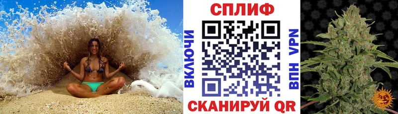 Каннабис сатива Купить где Оса